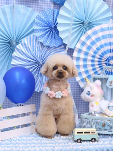 20231110マロンちゃん